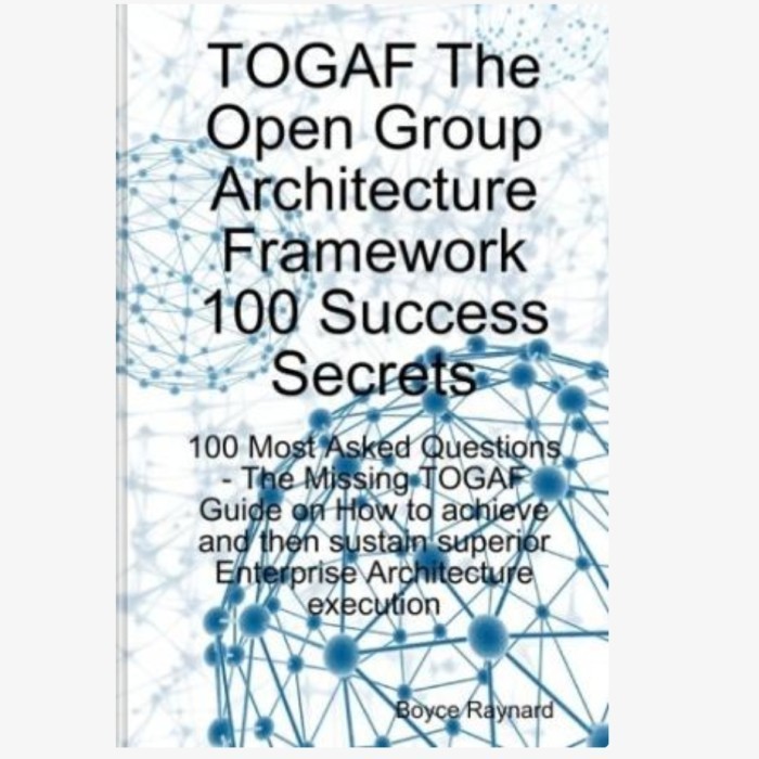 Jual BUKU TOGAF The Open Group Architecture Framework 100 Success ...