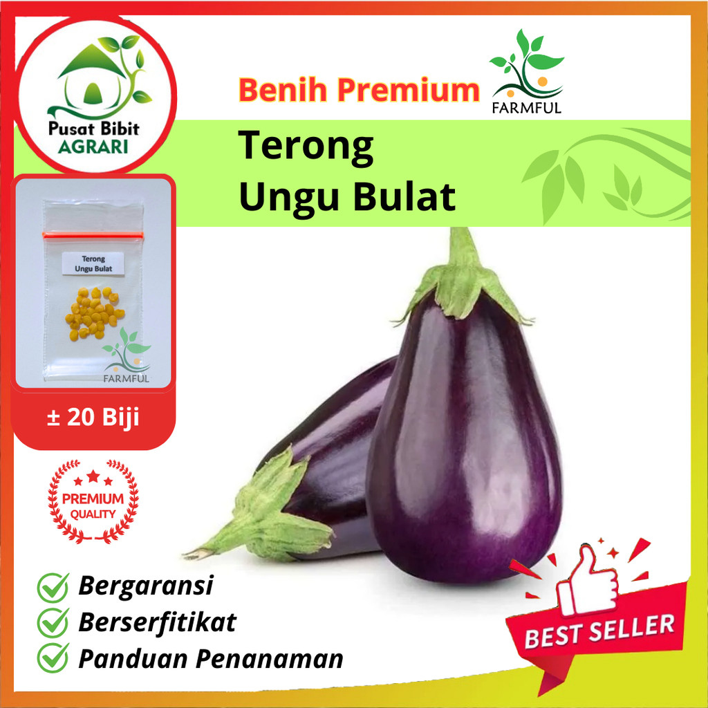 Benih Sayuran Terong Ungu Bulat Unggul Pusat Bibit Agrari