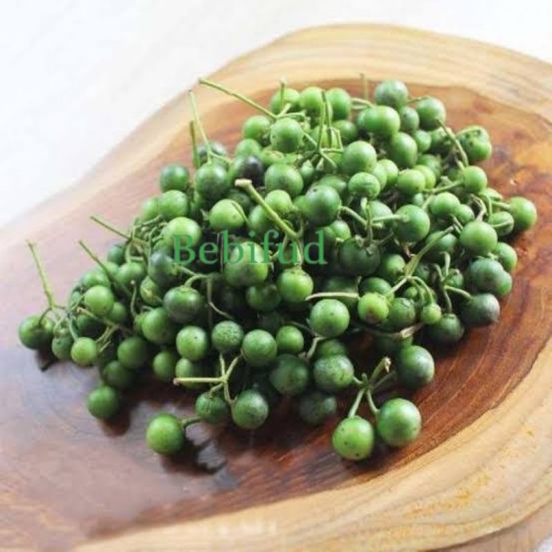 Jual LENCA 250 GRAM SEGAR BEST SELLER | Shopee Indonesia