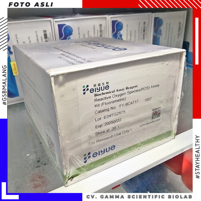 Jual Reactive Oxygen Species(ROS) Assay Kit (Fluorometric) - 100T ...