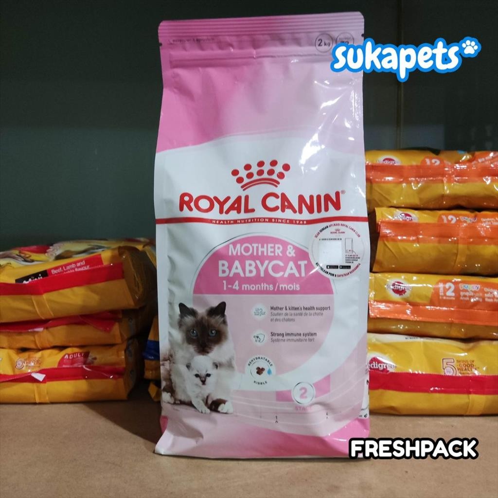 Jual Marwa Mampir Royal Canin Mother & Baby Cat Makanan Induk & Anak ...