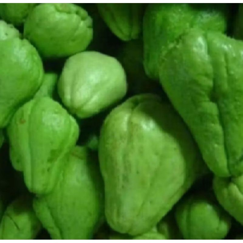 Jual sayur labuh Siam segar 1kg | Shopee Indonesia