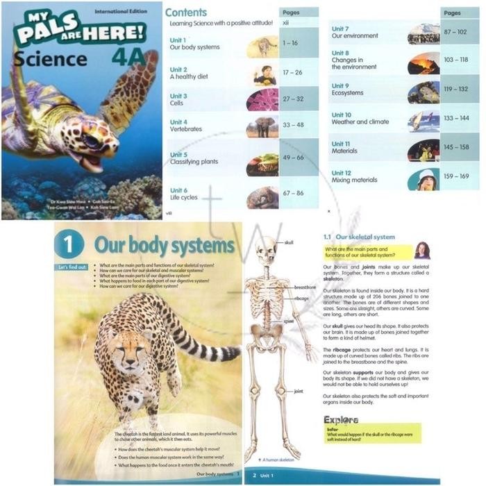 Jual My Pals are Here Science 4A 4B Textbook & Activity Book ...