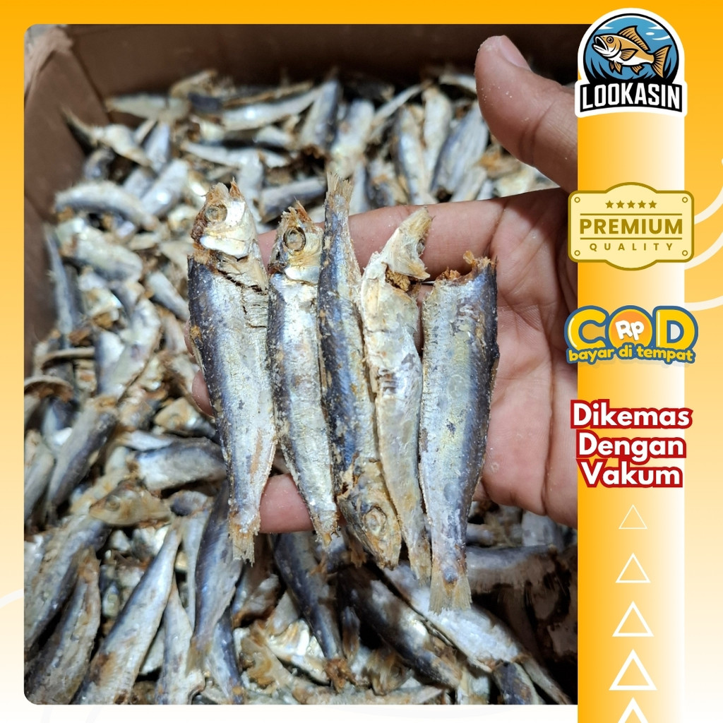 Jual Japuh Asin Laut 500gr – Ikan Asin Asli Tradisional | Gurih & Tahan ...