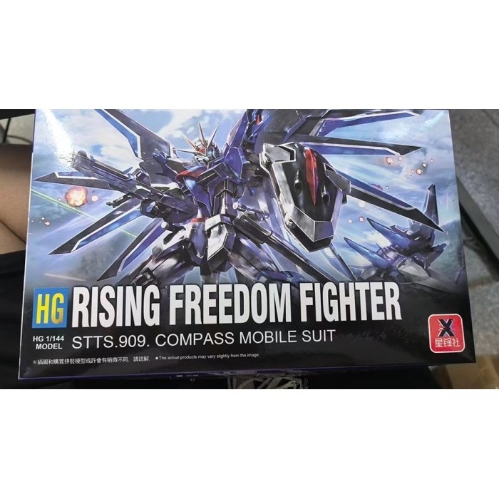 Jual HG 1/144 Rising Freedom Fighter Seed Freedom Robot Xing Feng Model ...
