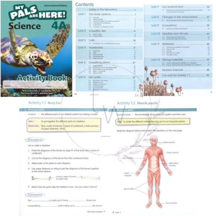 Jual My Pals are Here Science 4A 4B Textbook & Activity Book ...