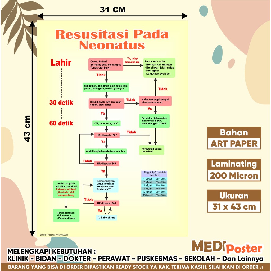 Jual Poster Resusitasi Pada Neonatus | Shopee Indonesia