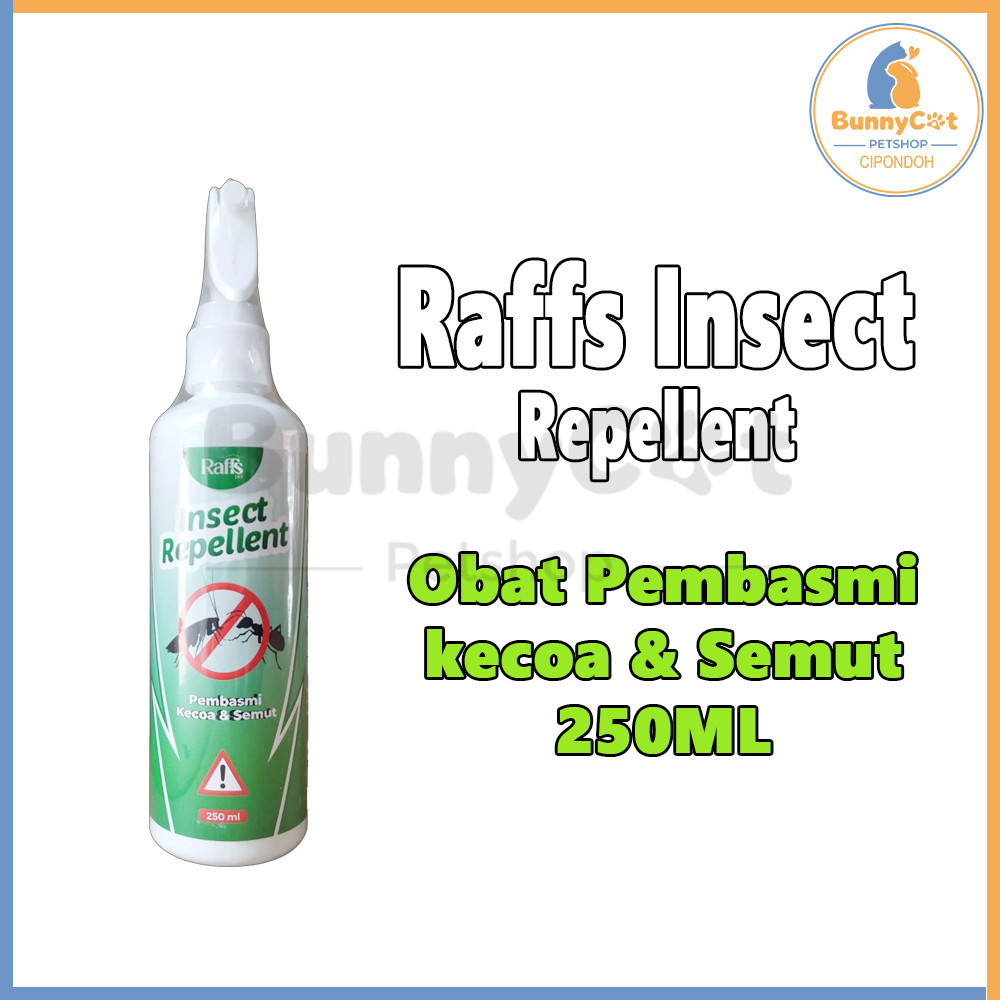 Jual RAFF INSECT REPELLET 250 ML Pengusir Semut dan kecoa 250 ml ...