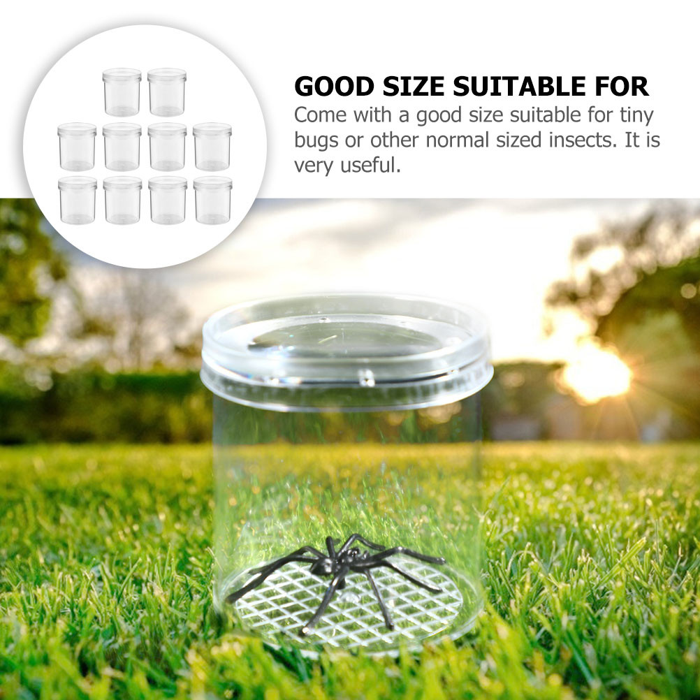 Jual 10pcs Insect Observation Cup Bugs Container Portable for with ...