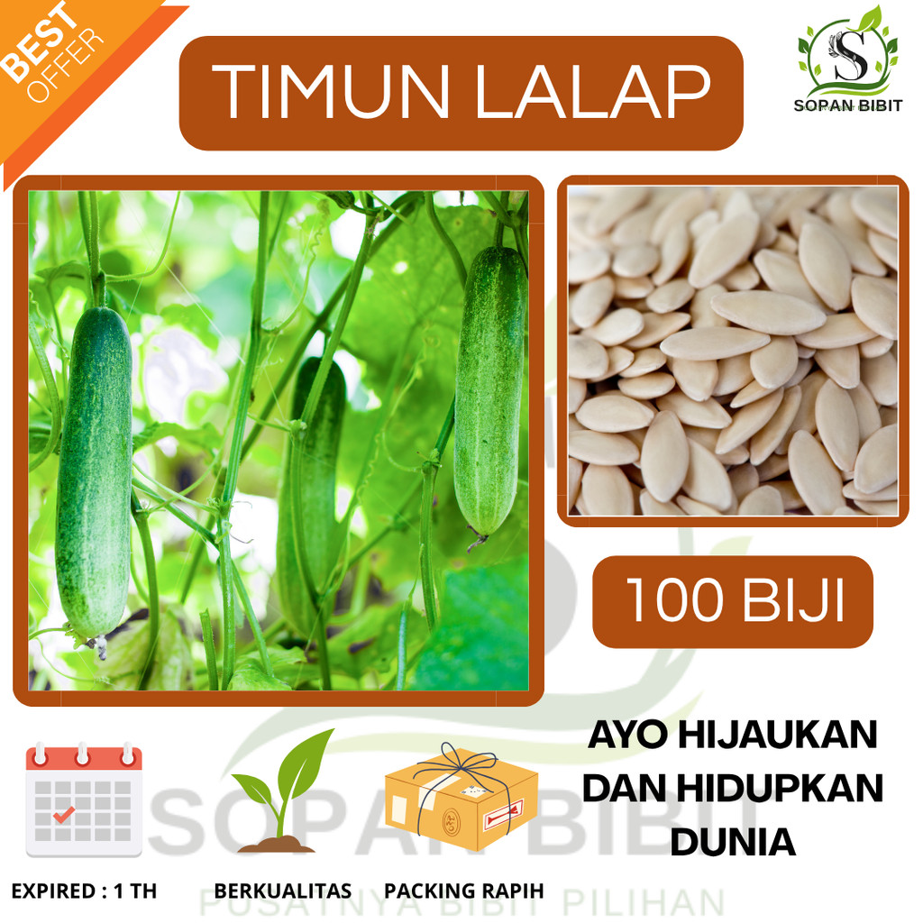 jual-100-biji-benih-biji-timun-unggul-shopee-indonesia