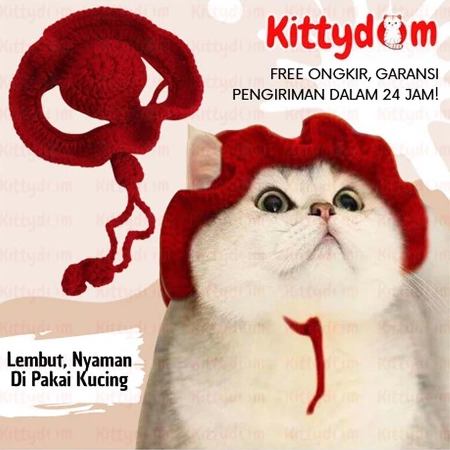 Topi Kucing 