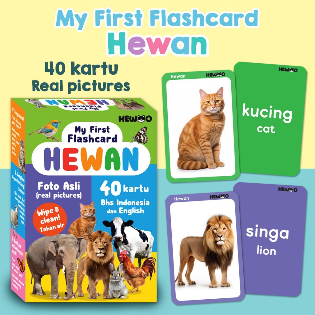 Jual My First Flashcard HEWAN (40 kartu - real pictures/foto) - kartu ...