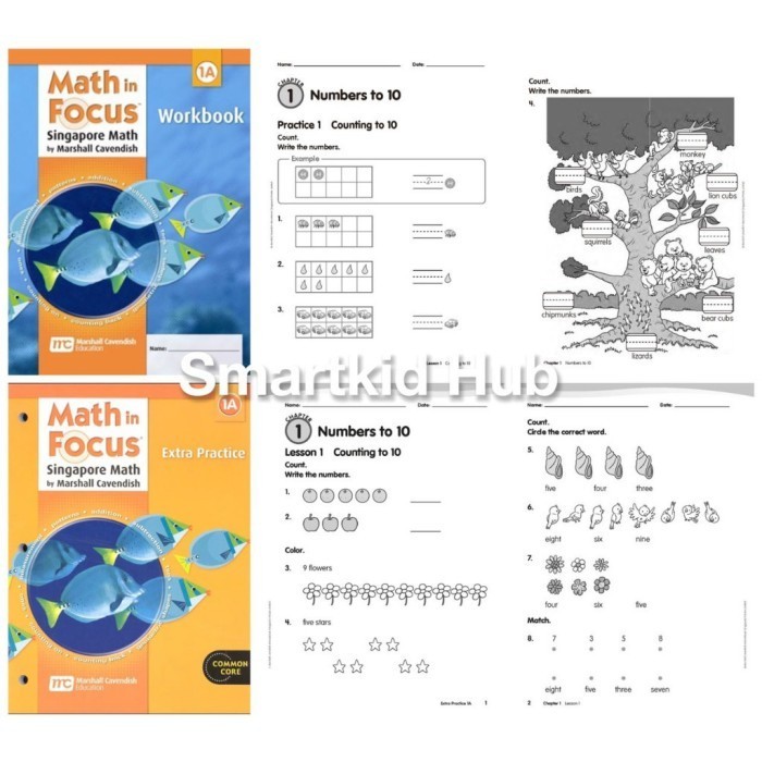 Jual BUKU CETAK Math in Focus Singapore Math KA/KB1A/1B/2A/2B/3A/3B/4A ...