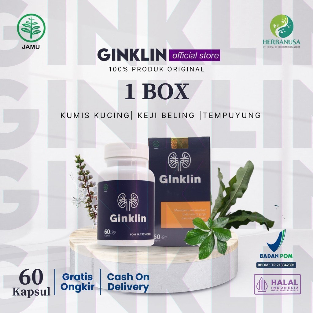Jual Ginklin Original Herbal Kumis Kucing Keji Beling Tempuyung Atasi