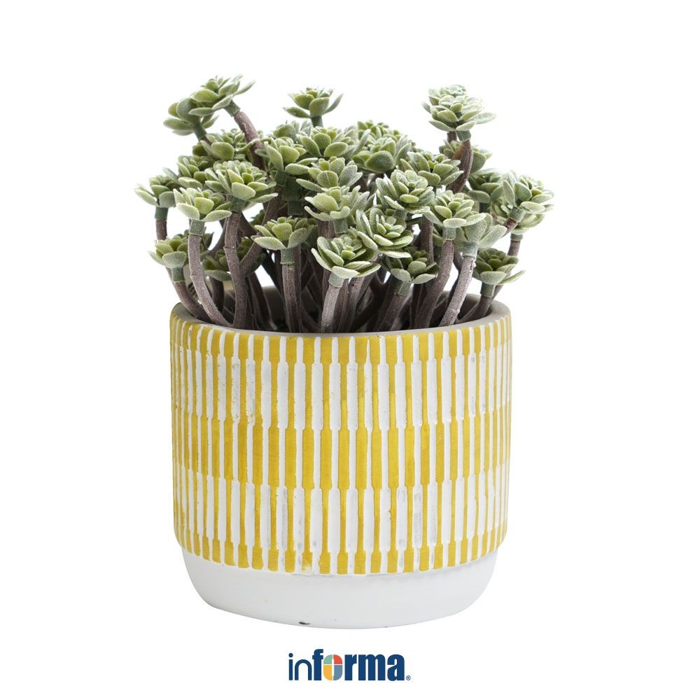 Jual Informa Tanaman Artifisial 20 cm Sukulen Dengan Pot - Kuning ...
