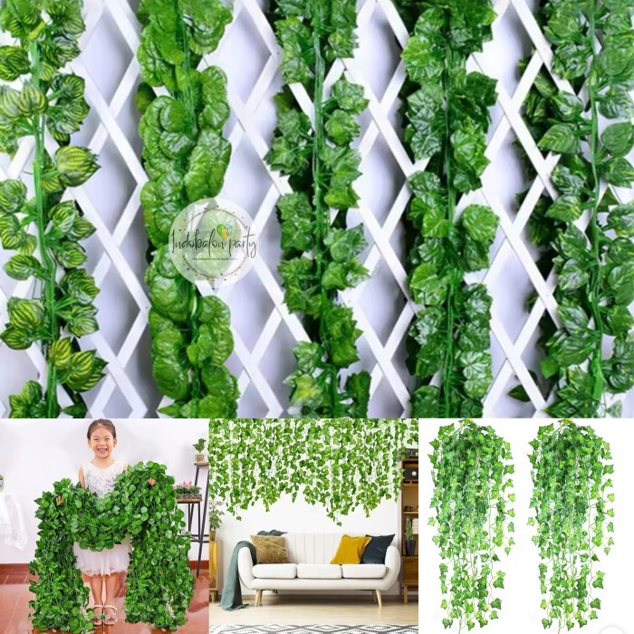 Jual Tanaman Rambat Dinding Terlengkap & Harga Terbaru April 2026 ...