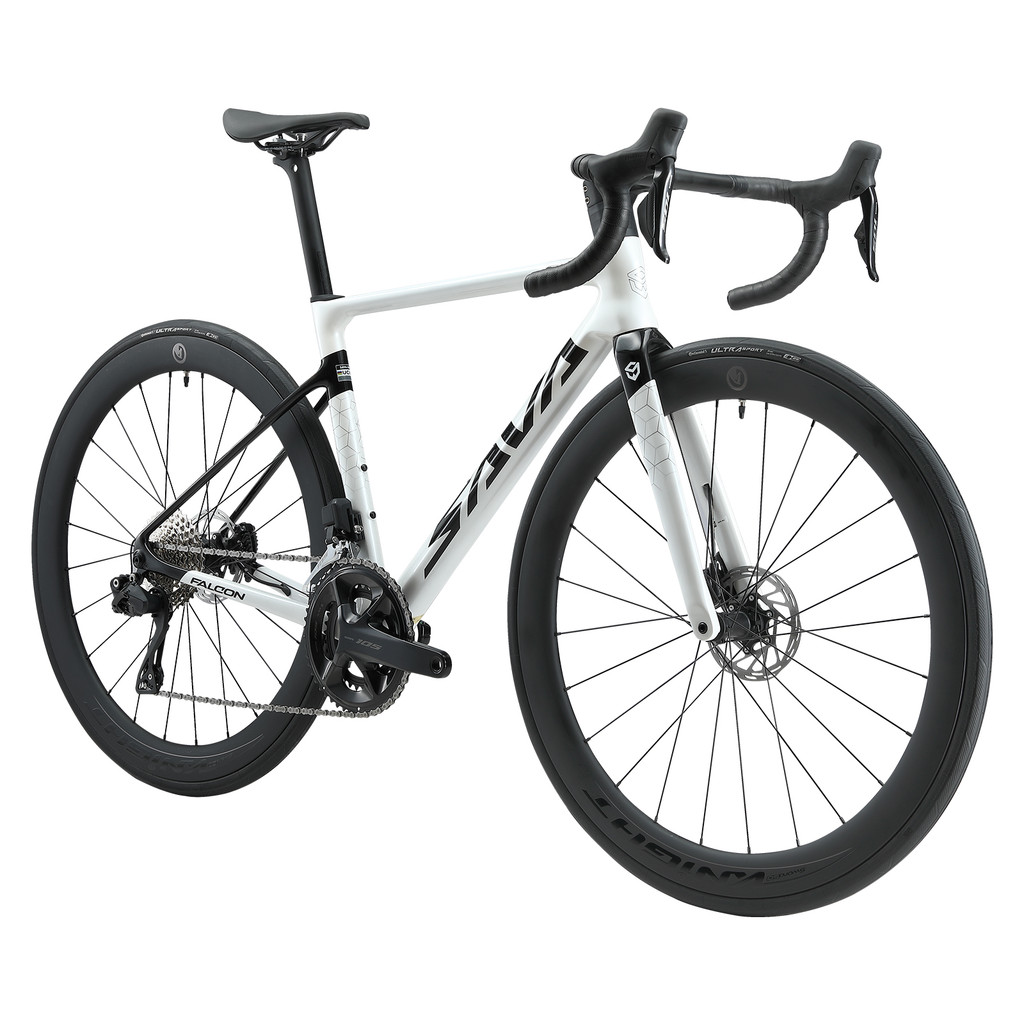 Jual \Racing Team Edition Full Carbon Fiber Road Bike Race Bike with ...