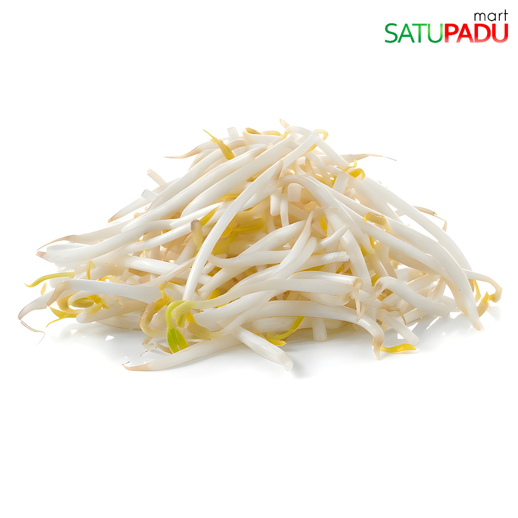 Jual satupadu mart - Toge Segar / Taoge Segar / Kecambah Segar Sayuran ...