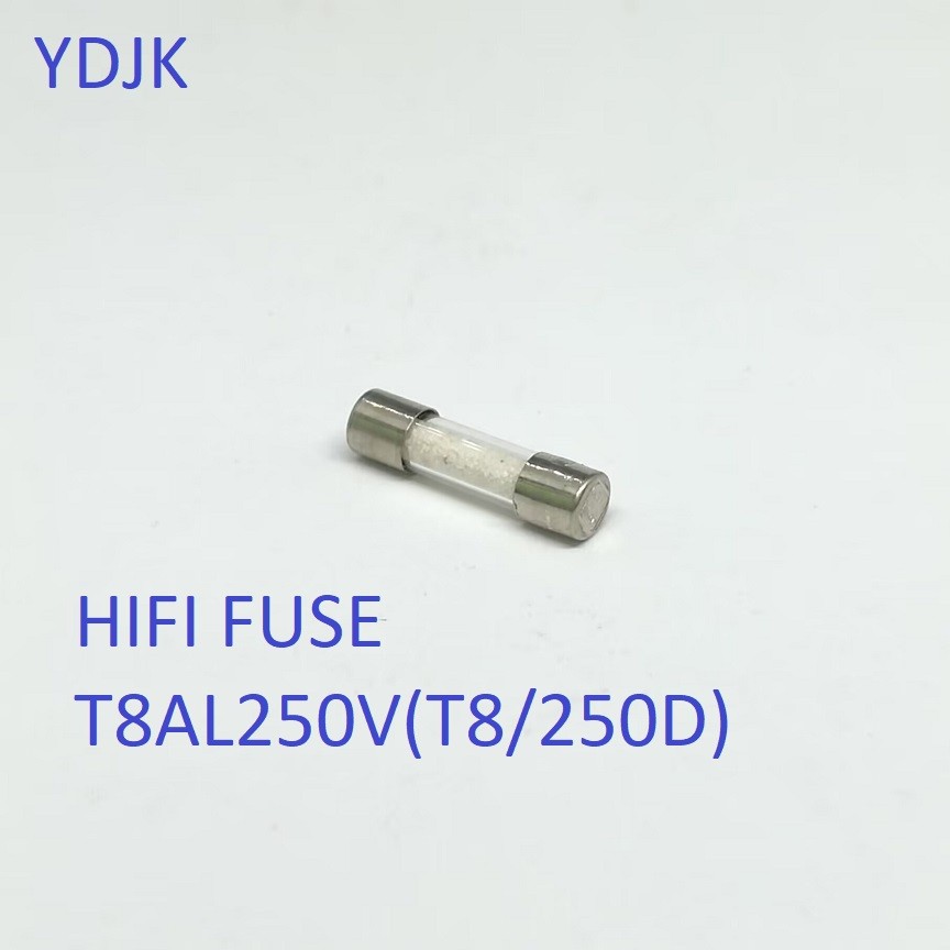 HUAREW T5AL250V 20 Pezzi Fusibile Di Vetro Ad Azione Lenta Da