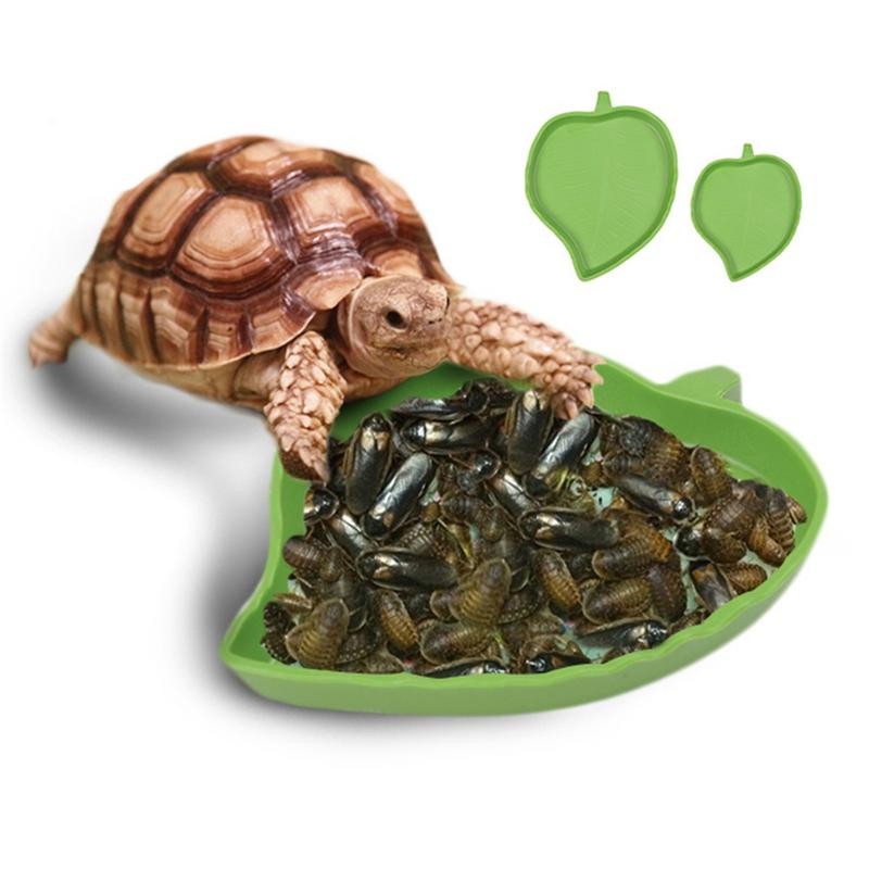 Jual Amphibians Reptiles Feeder Plastic Reptile Terrarium Feeding Basin ...