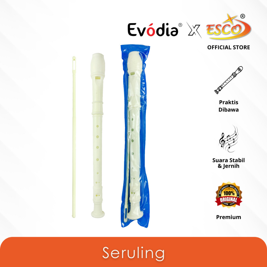 Jual Recorder Seruling Soprano Dengan Stick Pembersih (SRL-132) SULING ...