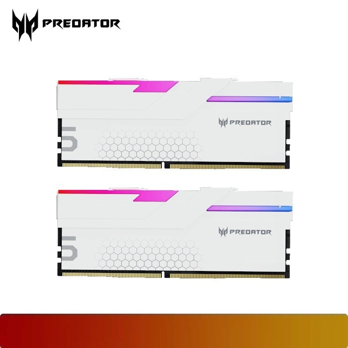 Jual PREDATOR BL.9BWWR.423 | Predator Hermes RGB 64GB (2x32GB) DDR5 ...