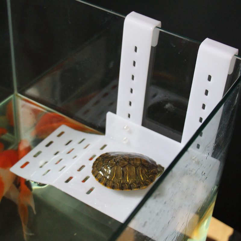 Jual Acrylic Tortoise Drying Platform Brazil Water Turtle Floating ...