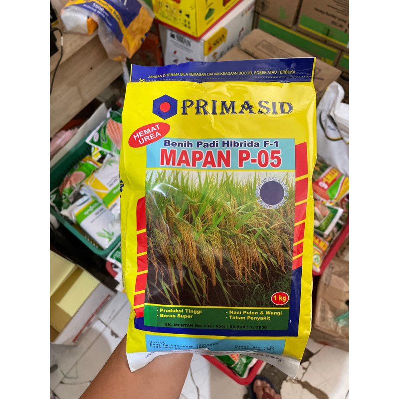 Jual Benih Padi Hibrida F Mapan P Kg Bibit Padi By Primasid Exp Original Primasid