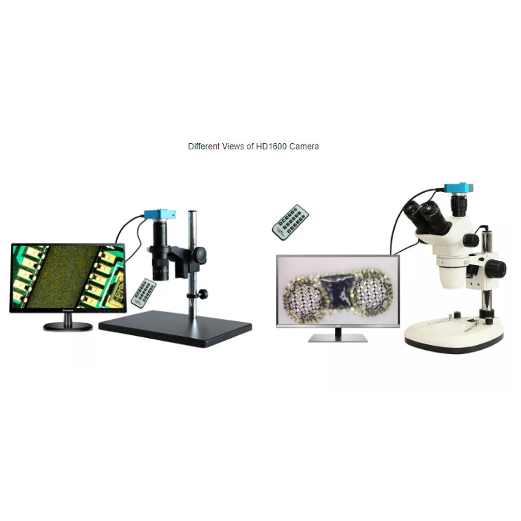 Jual Microscope Camera 36MP HD1600 HDMI USB 2K Electronic Digital ...