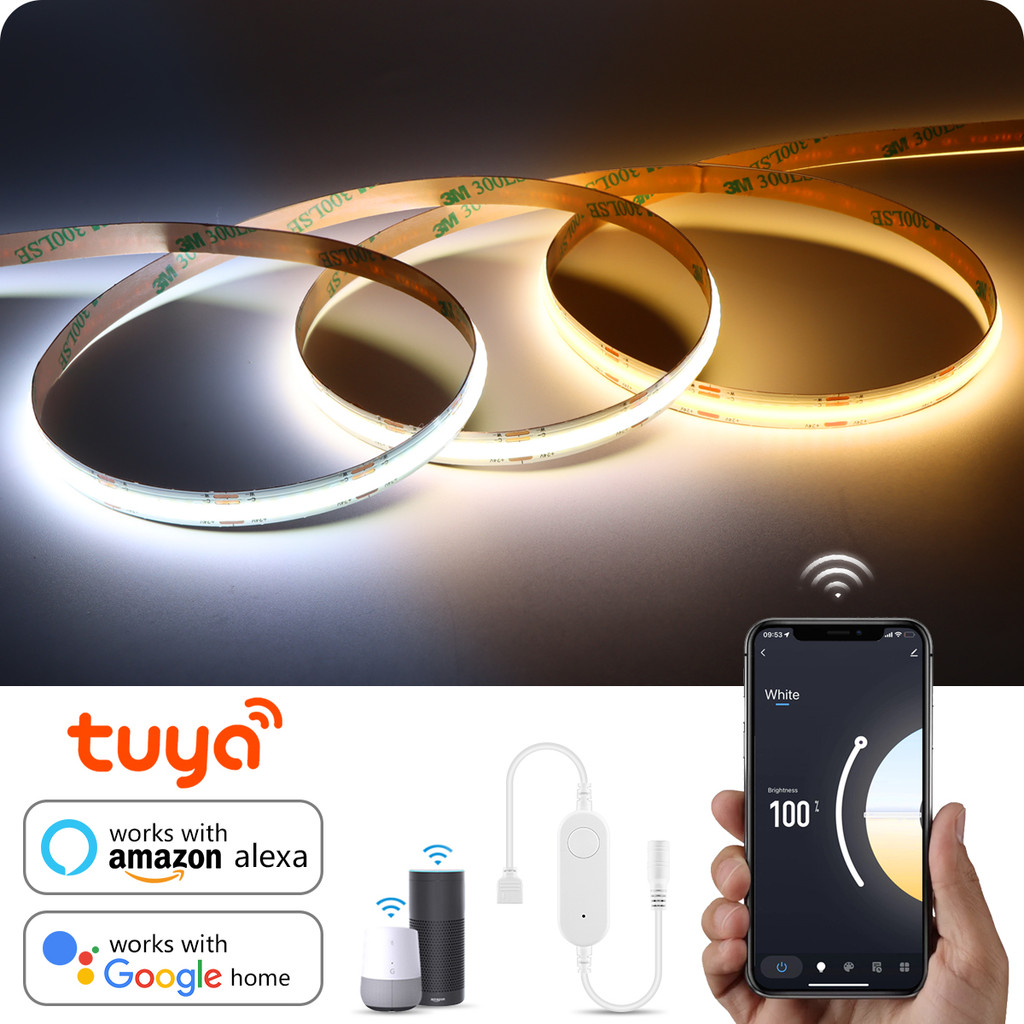 Jual CCT 2700K-6500K Changeable Lamp Tuya Smart Home COB LED Strip ...