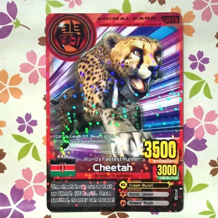 Jual Animal kaiser normal cheetah versi 4 | Shopee Indonesia