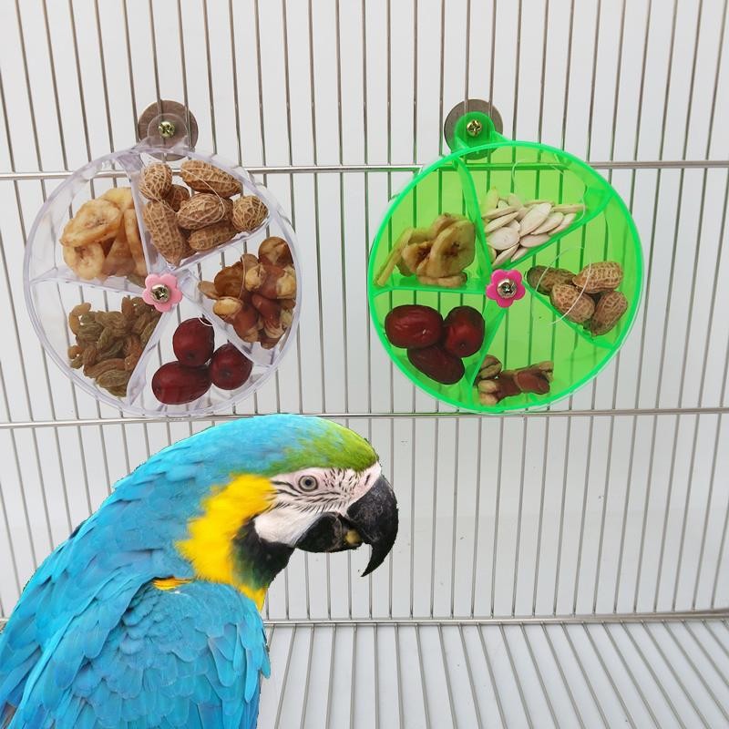 Jual Rotate Pet Parrot Toys Wheels, Bite Chewing Birds Foraging Food ...