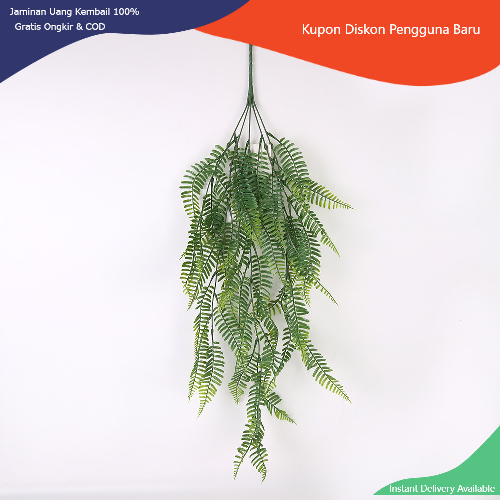 Jual Tanaman Rambat Pakis Rotan Persia Palsu Daun Boston Hias Merambat ...