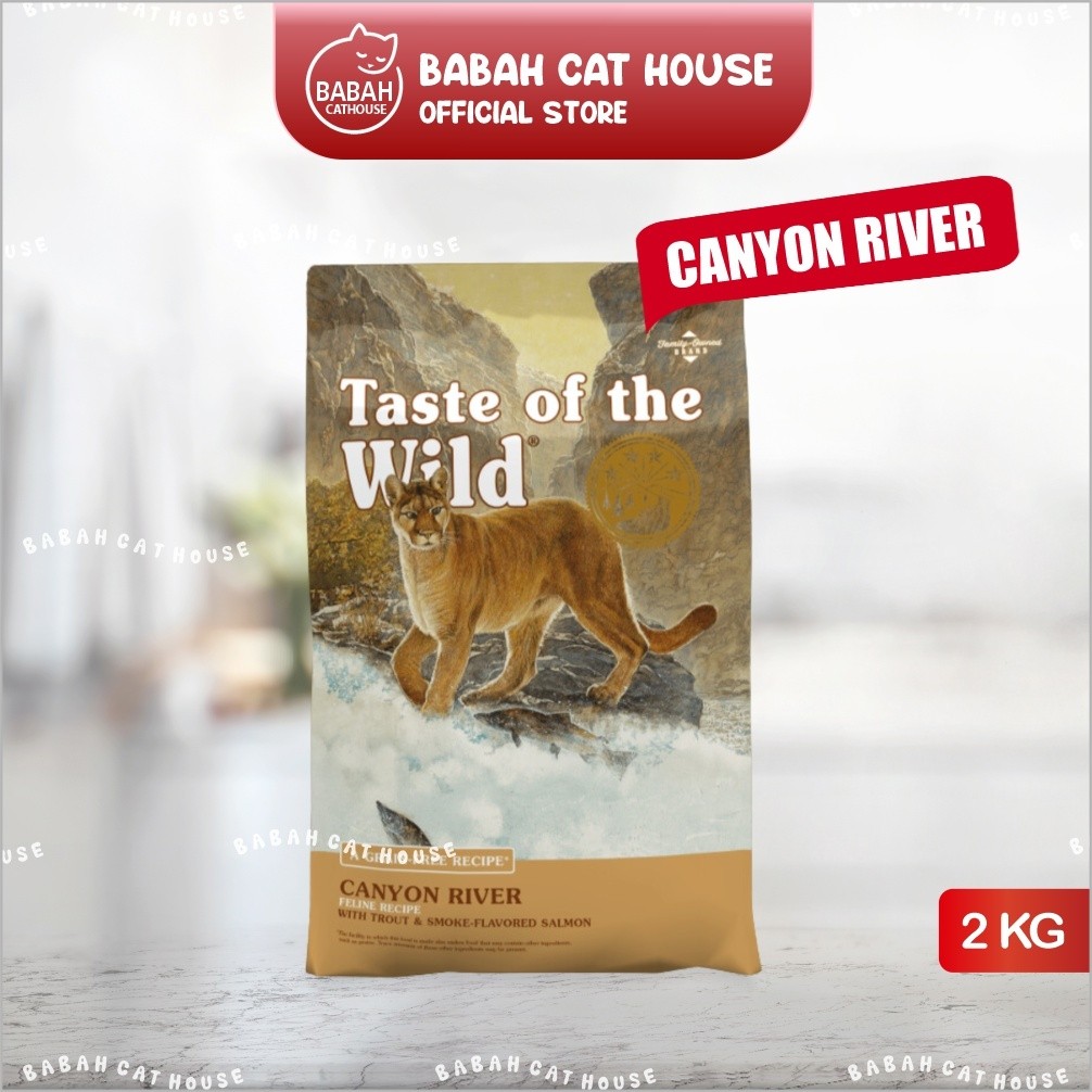 よっちゃん様専用【2kg×4袋】Monge B Wild Grain Free Monge BWild