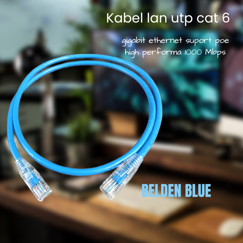Jual KABEL LAN SERVER BELDEN CAT 6 1 METER - 5 METER | Shopee Indonesia