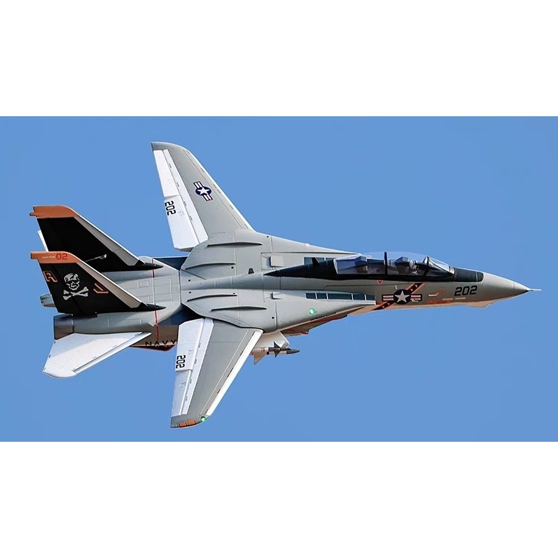 Jual Freewing Flying Wing Model F-14a 