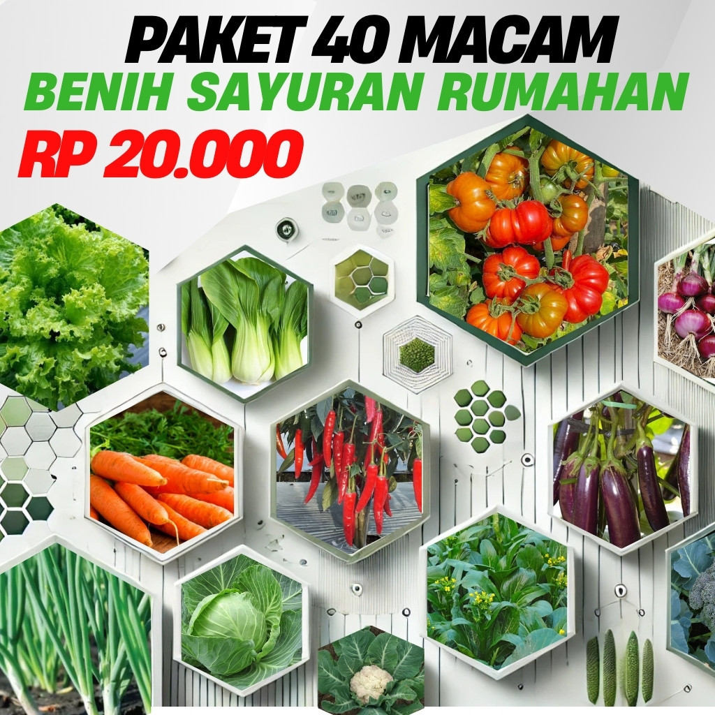 SUPER HEMAT! 40 Jenis Benih Sayuran Unggul Terbaik Bibit Sayur Segala Macam Hasil Melimpah PAKET LENGKAP 40 Jenis Benih Sayuran Murah Meriah Bibit Sayur Komplit Siap Tanam Kebun Rumah