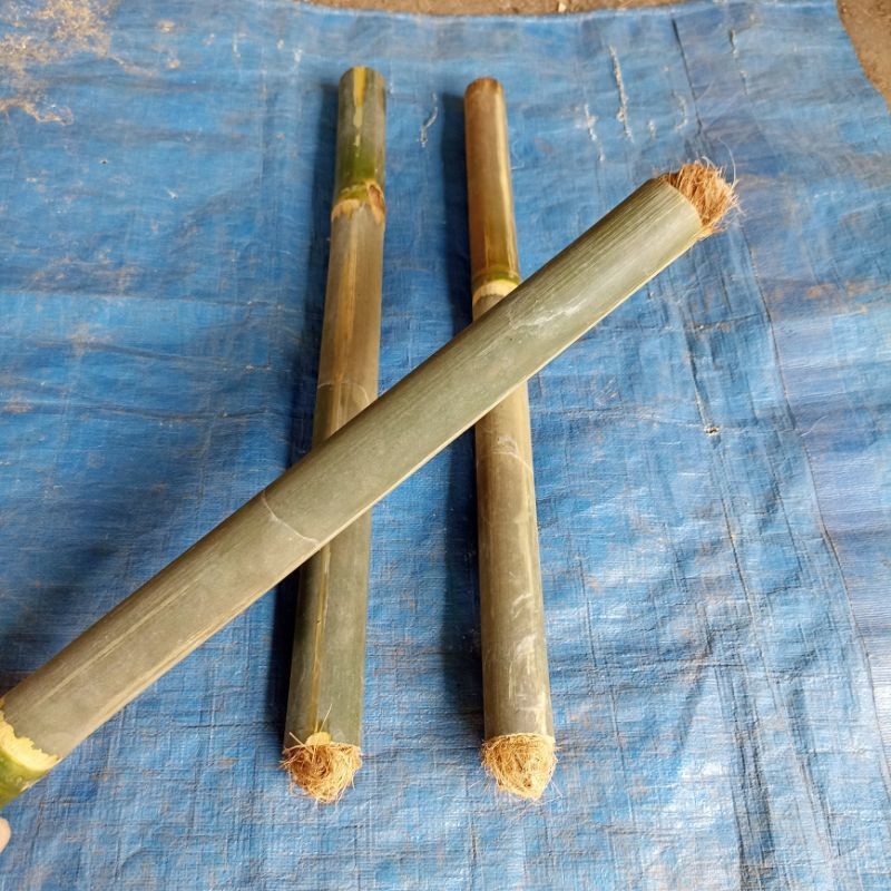 Jual Bambu Obor Pakai Sumbu Panjang 50cm Obor Bambu Siap Pakai | Shopee ...
