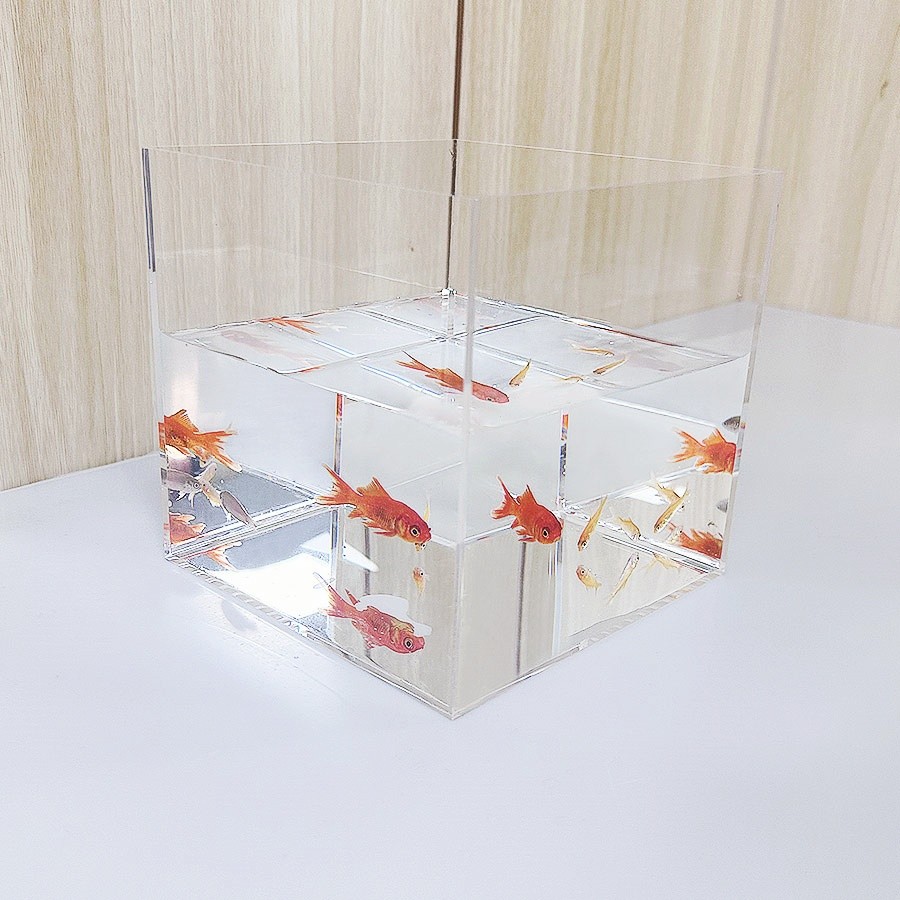 Jual clear transparent acrylic mini table turtle, shrimp, goldfish ...