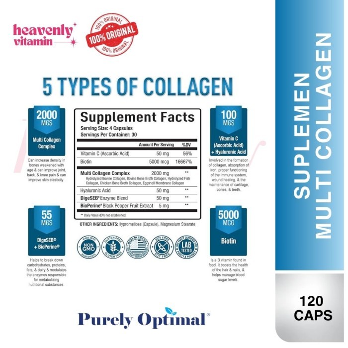 Jual Purely Optimal Multi Collagen (Types I, II, II, V, X) with Digeseb ...