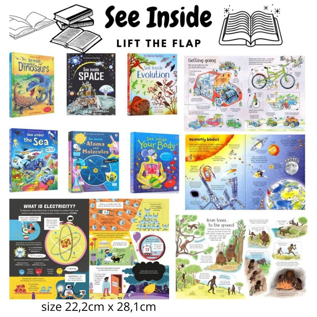 Jual [MAMAME] SEE INSIDE LIFT THE FLAP | Shopee Indonesia