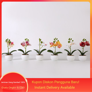 Jual Bunga Anggrek Hias Phalaenopsis Dengan Pot Bulat Artificial Bunga Sutra Dekorasi Taman