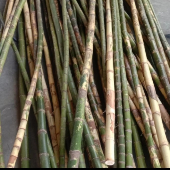 Jual batang palem palem waregu alat kerajinan | Shopee Indonesia