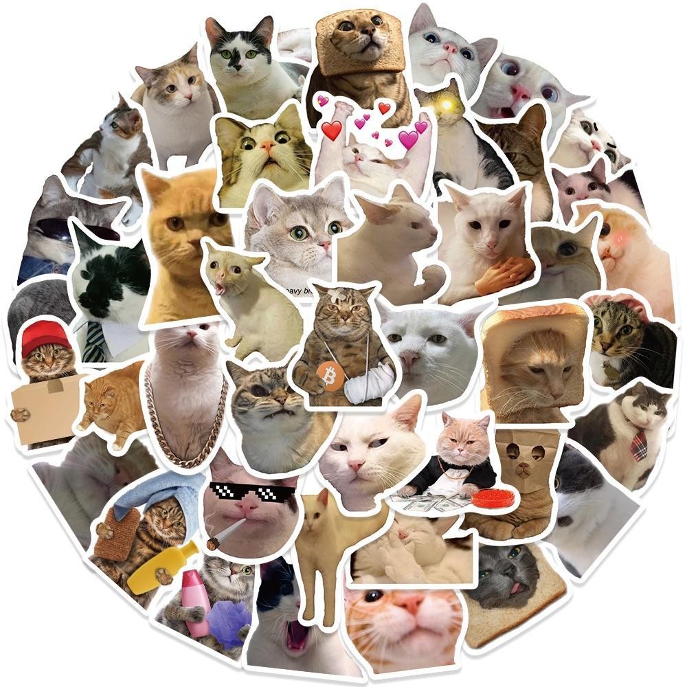 Jual sticker kucing meme Harga Terbaik & Termurah Oktober 2026 | Shopee ...