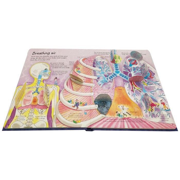 Jual Buku See Inside Your Body Usborne With over 50 flaps to Lift ...