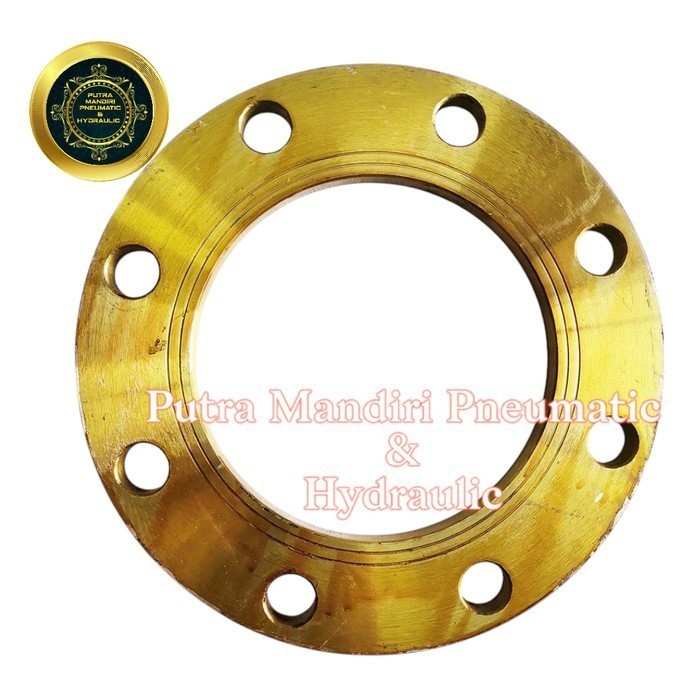 Jual Flange Carbon Steel jis 10k 8