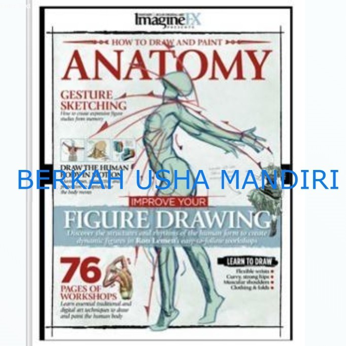 Jual BUKU How to Draw and Paint Anatomy vol. 2 | Shopee Indonesia