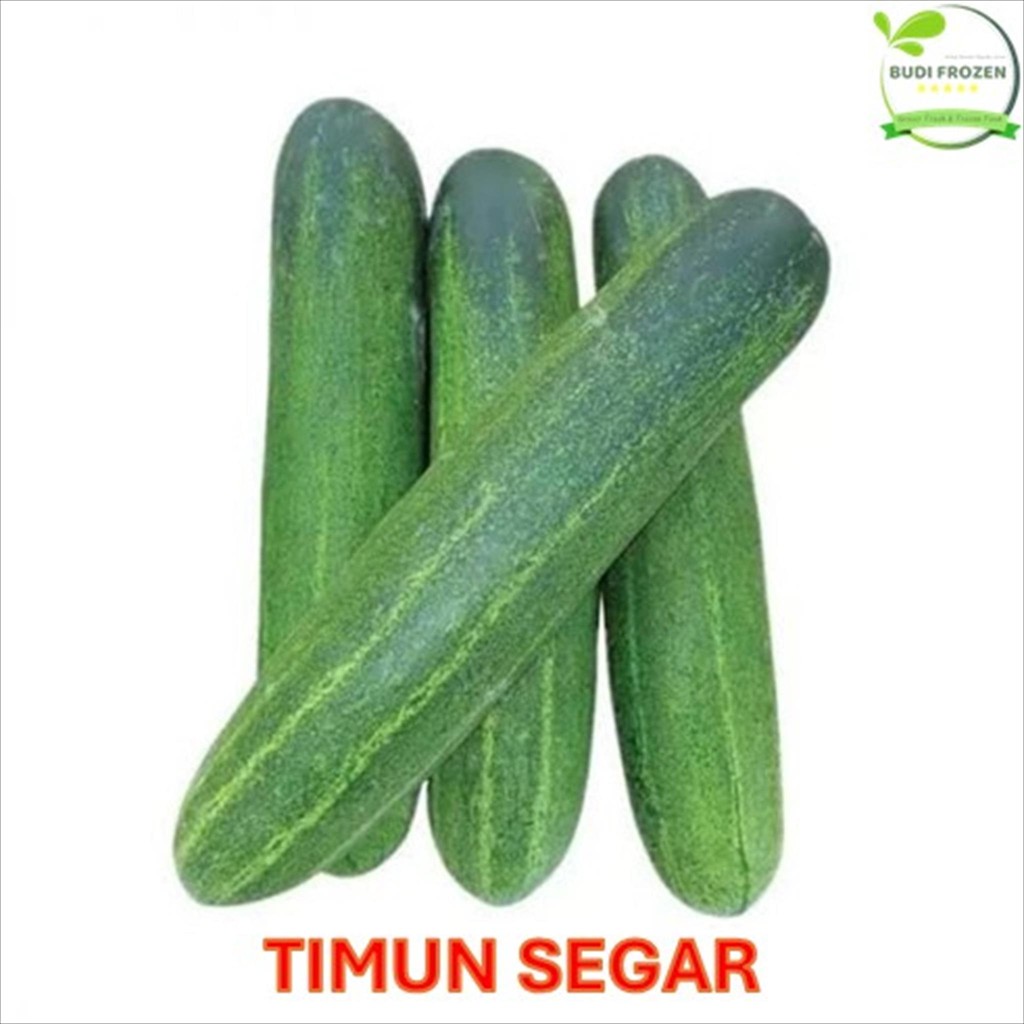 Jual TIMUN SEGAR / FRESH / MENTIMUN HARGA PASAR | Shopee Indonesia