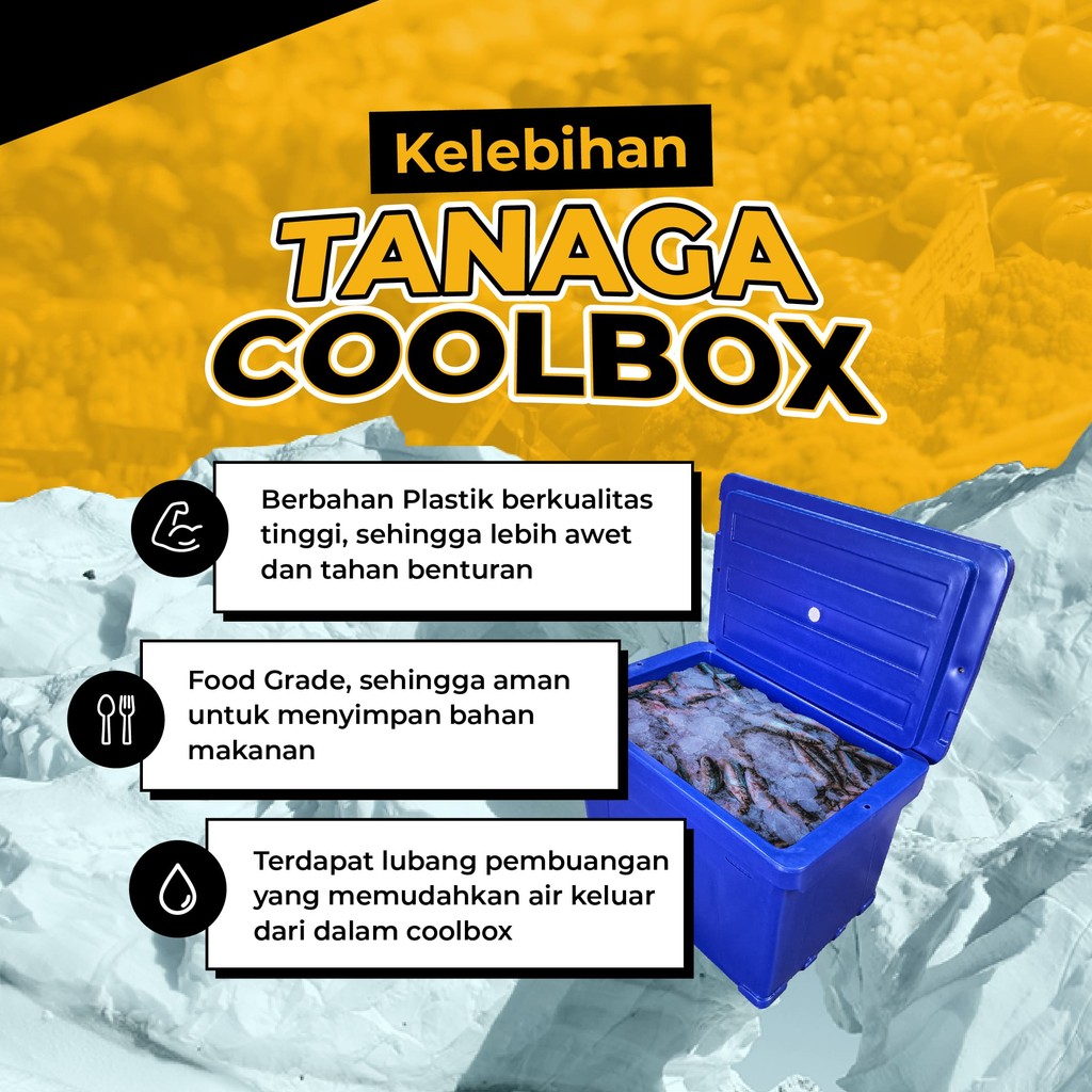 Jual TANAGA Cool Box 660 Liter Penyimpanan Ikan Tahan Lama Cocok untuk ...