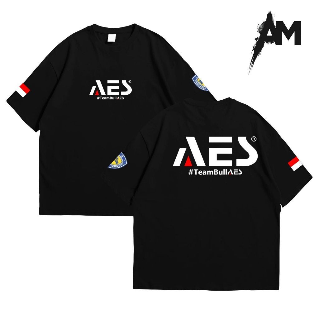 Jual KAOS RACING DISTRO AES TeamBullAES BILLED UNISEX PREMIUM PRIA ...